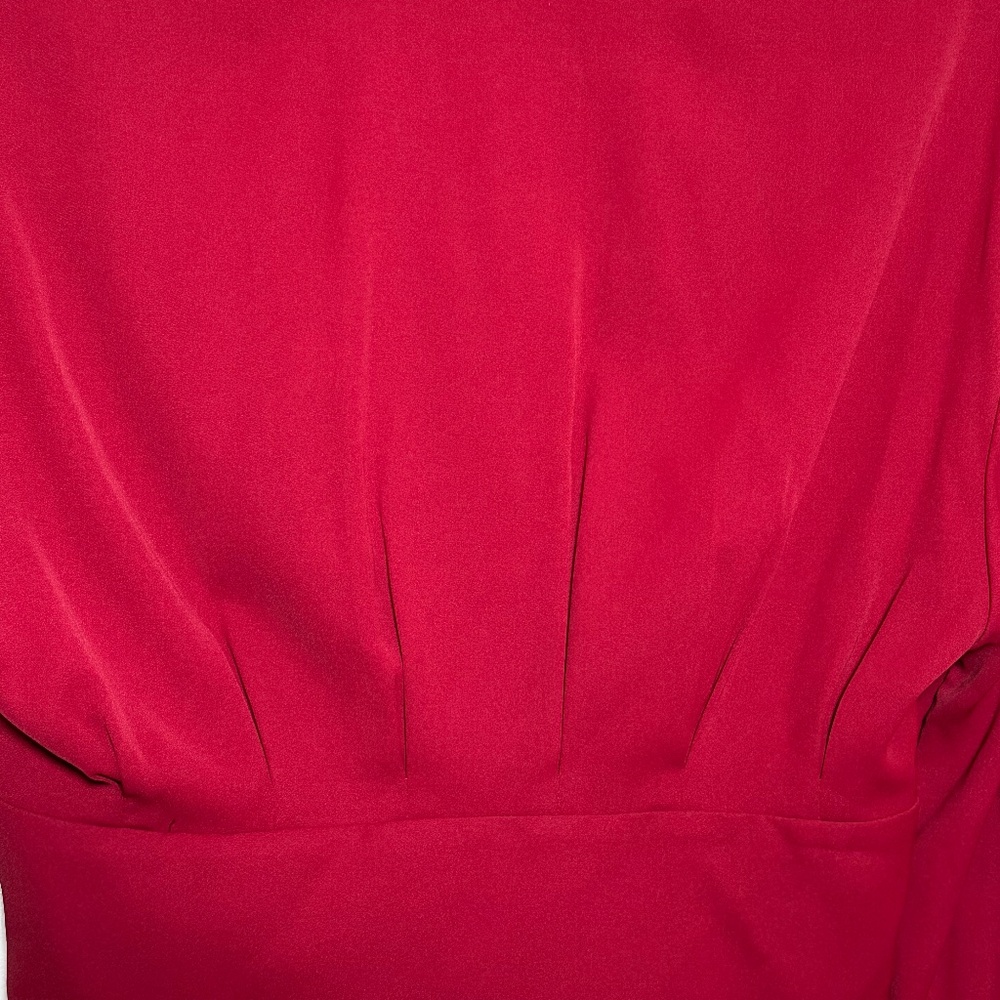 Backyard Roses Deep V Red Blouse - Picture 5 of 5